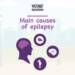 Main Causes of Epilepsy